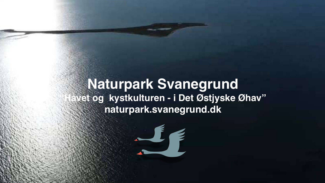 Stor præsentation af projekt Naturpark Svanegrund